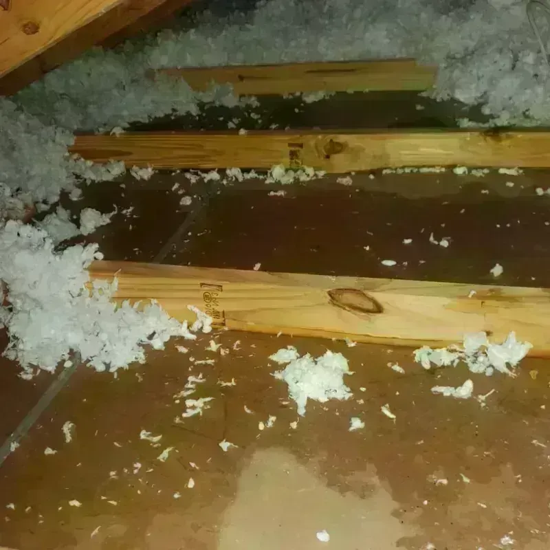 Attic Water Damage in Yorba Linda, CA