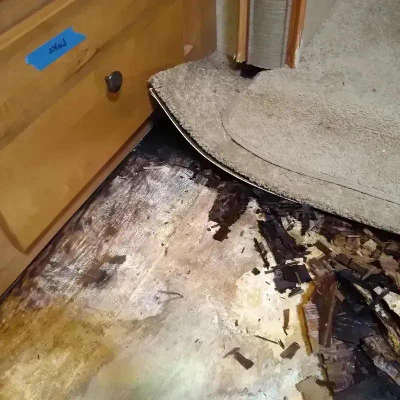 Best Wood Floor Water Damage Service in Yorba Linda, CA